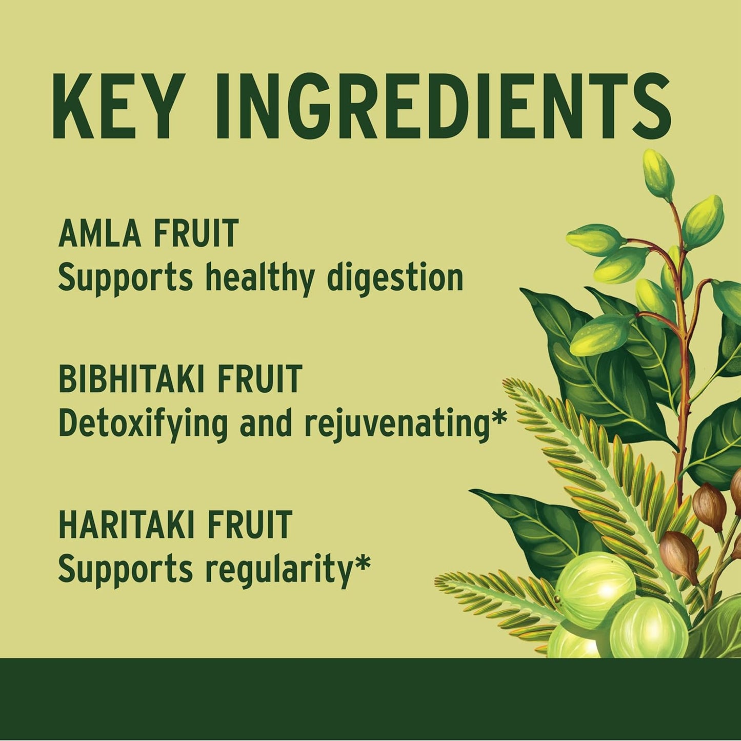 Grandeur Triphala Effervescent | Relieves Constipation, Colon Cleanse, Manage Weight & Improves Digestive Health | Harad : Baheda : Amla- 1:2:3 ratio, With Saunf & Cardamom| 20 Tablets